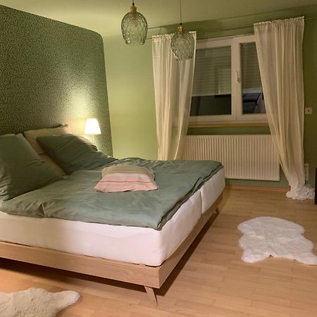 Feriendomizile Menholz Apartment Balingen Luaran gambar