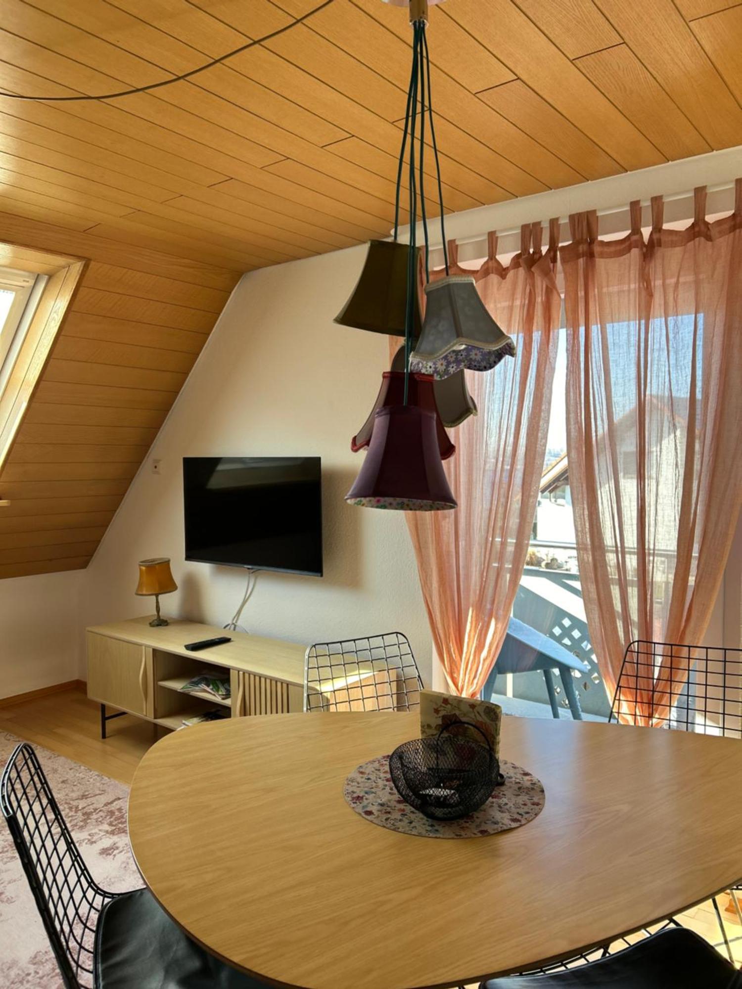 Feriendomizile Menholz Apartment Balingen Luaran gambar