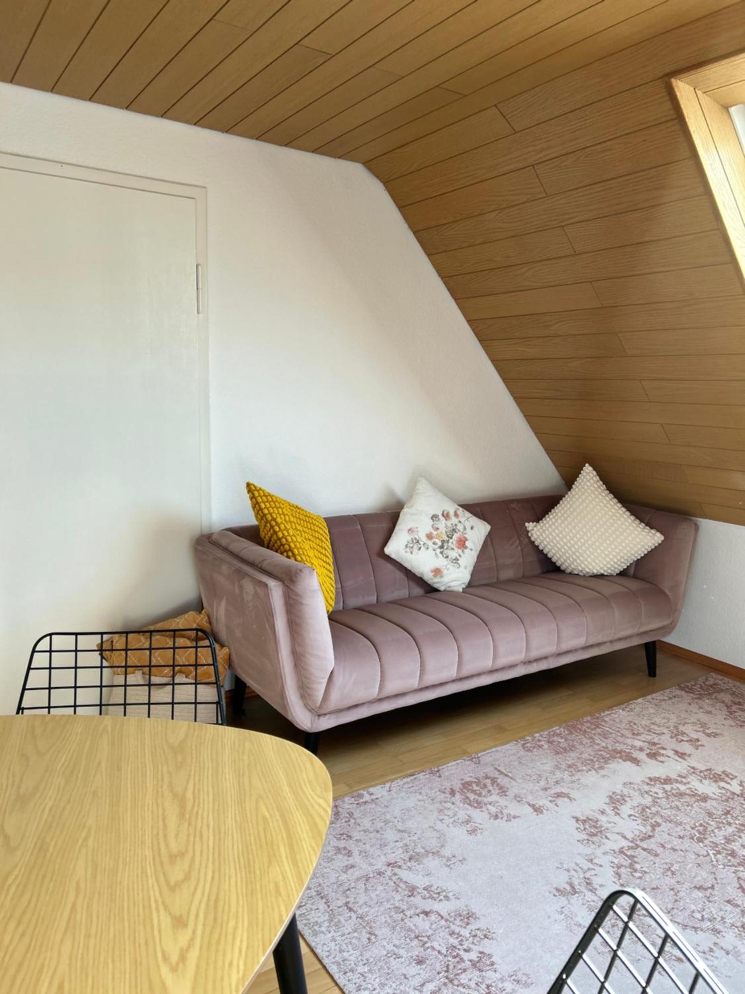 Feriendomizile Menholz Apartment Balingen Luaran gambar